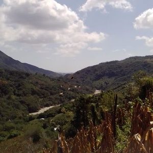 Meet your Posher, Alvaro